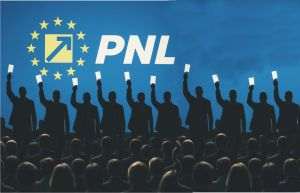 Internal dissensions in the PNL explode: ten candidates in the race for the position of first vice-president